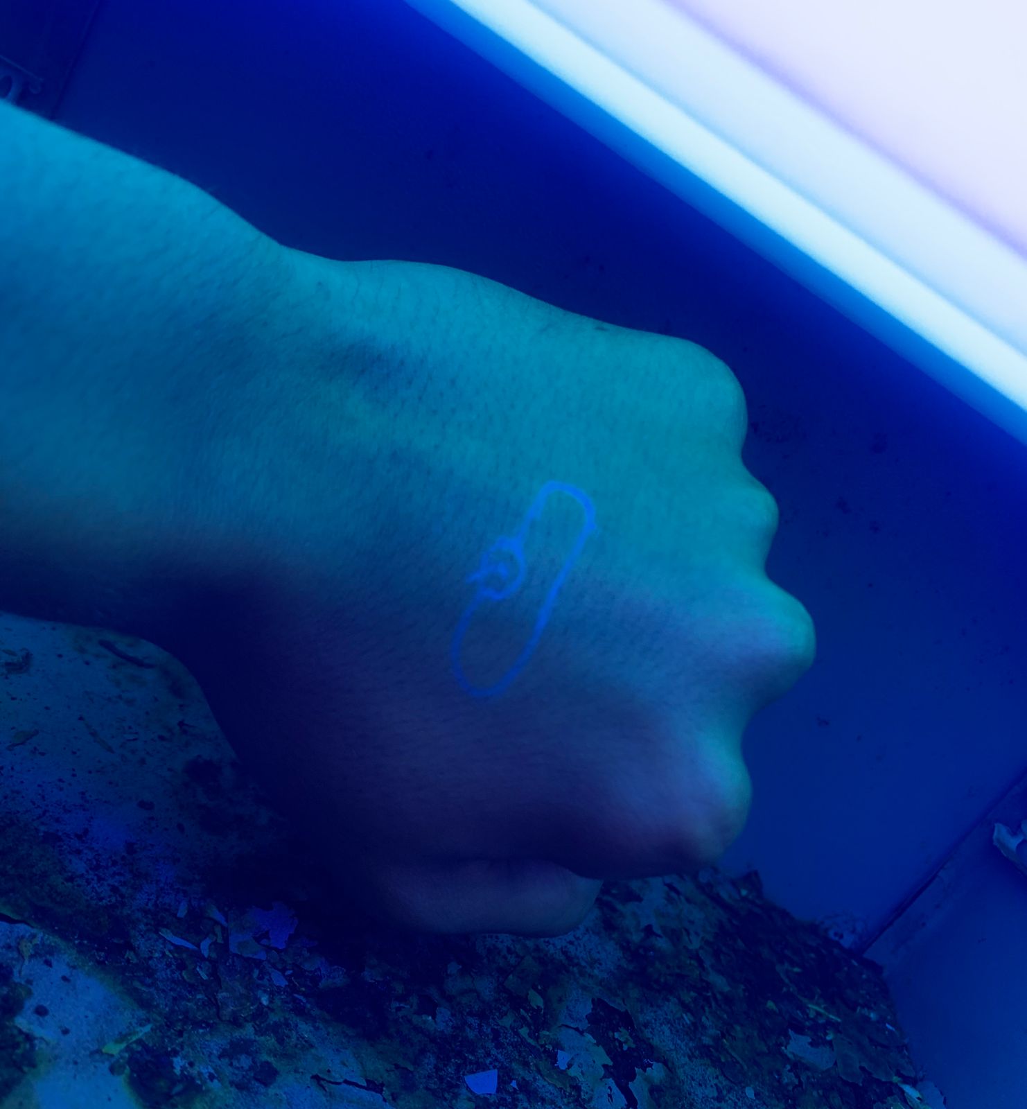 WhatsApp Image 2024-01-19 at 16.56.05.jpeg